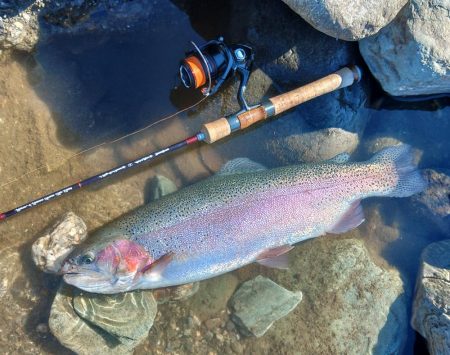 難しすぎるぞ！天竜川ルアーフライ専用区